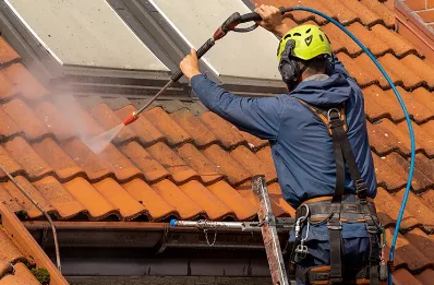 Démoussage et hydrofuge de toiture à Lorcy